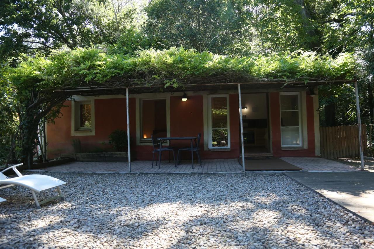 Le Pavillon Vert - B&B ヴデーヌ エクステリア 写真